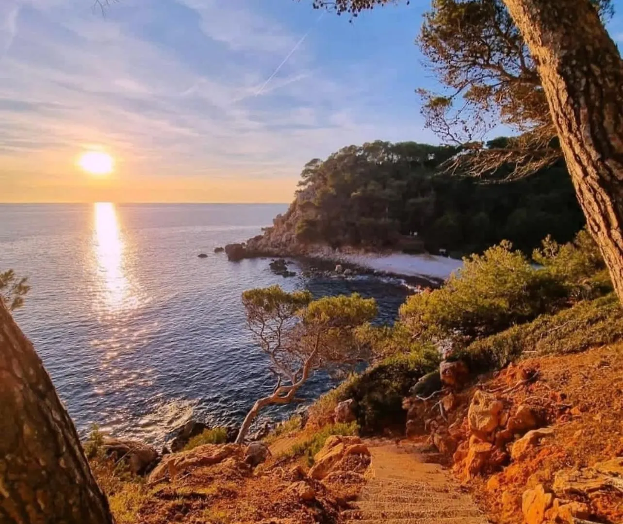 Logement Vue Mer Splendide - Situe A 50 Metres Du Bord De Mer Et 2 Minutes Des Plages - Bandolina France