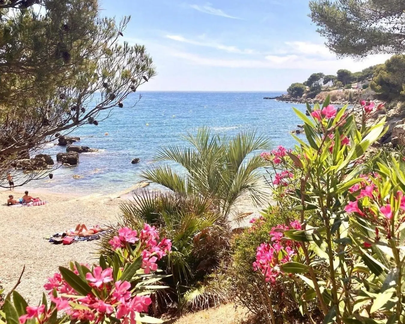 Logement Vue Mer Splendide - Situe A 50 Metres Du Bord De Mer Et 2 Minutes Des Plages - Bandolina Apartment